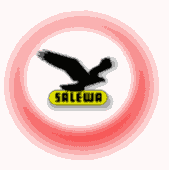 Salewa